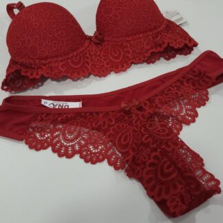 Conjunto DNA 1244